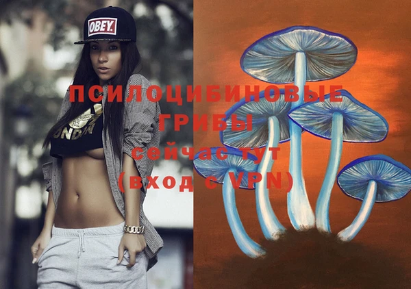 PSILOCYBIN Абаза